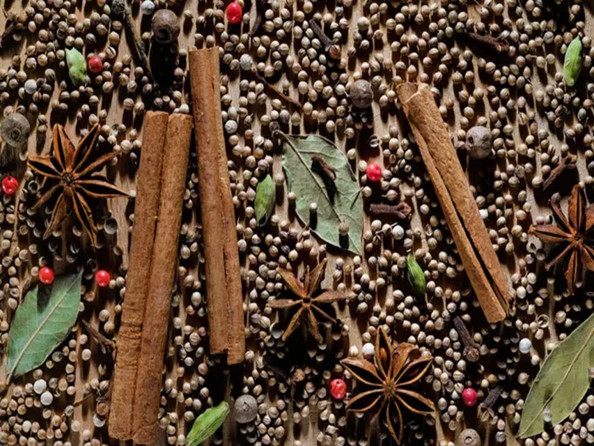 Food : Benefits Of Coriander Seed  धनिया के बीज के जादुई फायदे 