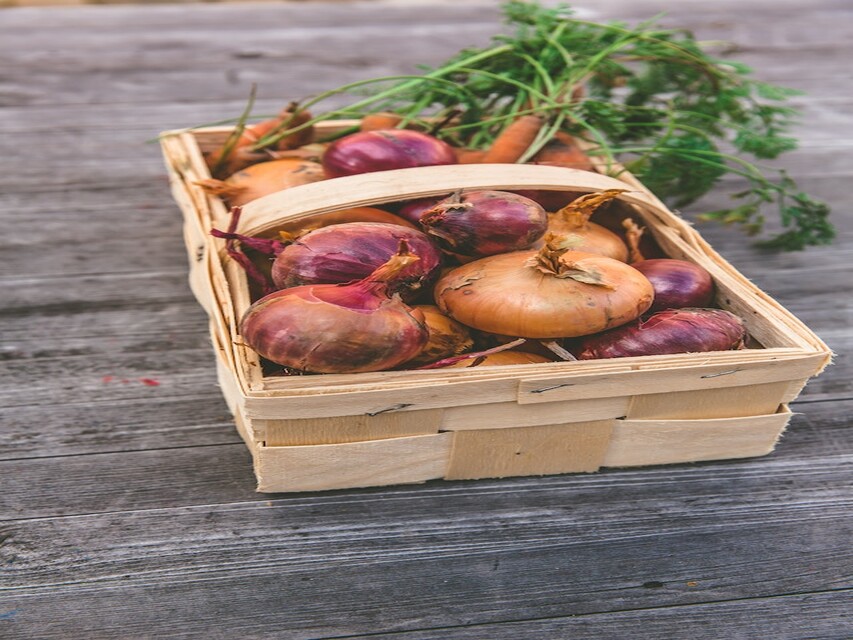 Food : कच्चे प्याज का सेवन करने से होते है कई फायदे | Onion Benefits