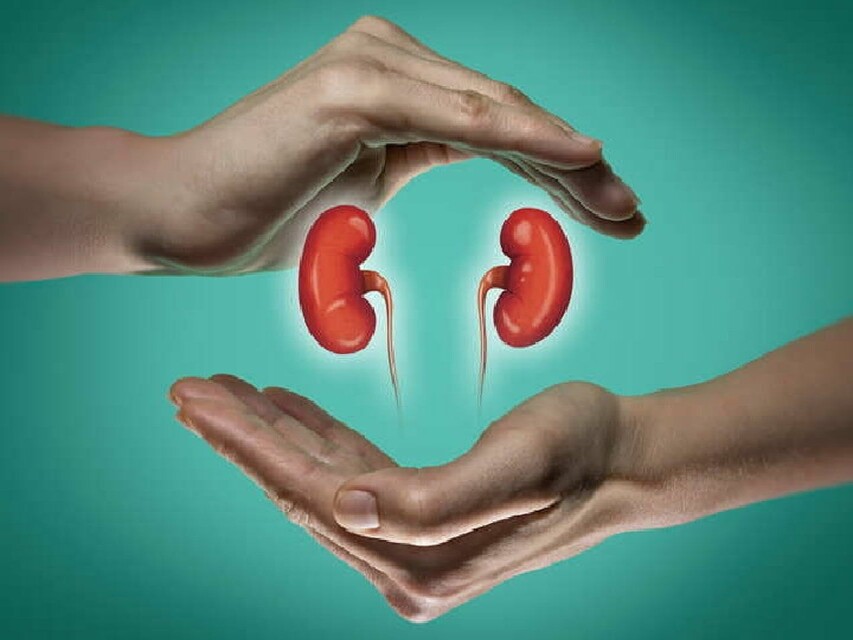 Health And Fitness : किडनी को खराब कर देने वाली आदतें 