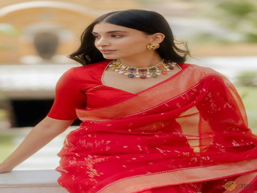 Fashion And Beauty : आदित्य यान के सफल उड़ान की खुशी में पहने यह खास साड़ियां 